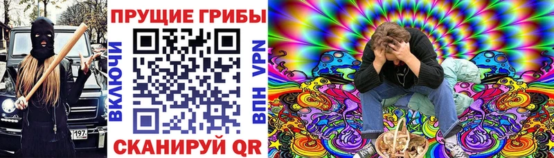 нарко площадка официальный сайт  Выкса  Псилоцибиновые грибы MAGIC MUSHROOMS 